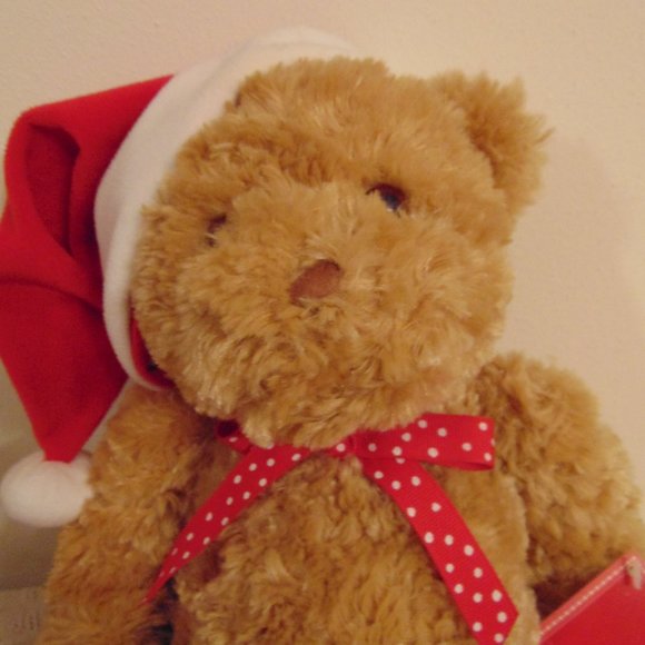 Hallmark Christmas Plush Bear, with Santa's cap and original tag, 2005 - Picture 3 of 7